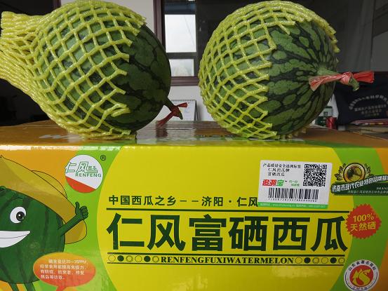 仁风富硒西瓜辨真假,只需"扫一扫"